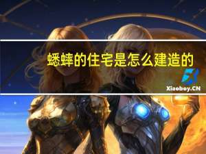 蟋蟀的住宅是怎么建造的