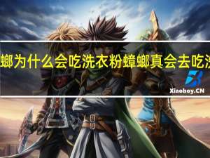 蟑螂为什么会吃洗衣粉 蟑螂真会去吃洗衣粉吗