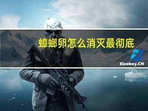 蟑螂卵怎么消灭最彻底