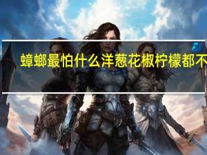 蟑螂最怕什么洋葱花椒柠檬都不怕（蟑螂最怕什么）