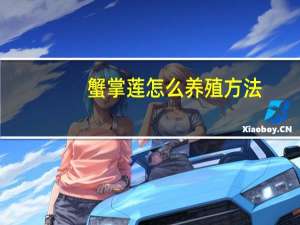 蟹掌莲怎么养殖方法