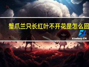 蟹爪兰只长红叶不开花是怎么回事