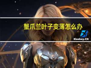 蟹爪兰叶子变薄怎么办