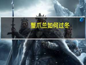 蟹爪兰如何过冬