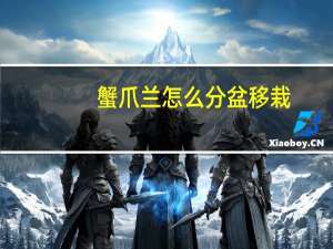 蟹爪兰怎么分盆移栽