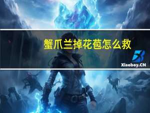 蟹爪兰掉花苞怎么救