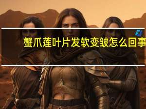 蟹爪莲叶片发软变皱怎么回事