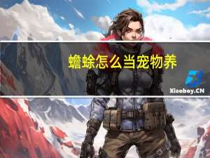 蟾蜍怎么当宠物养