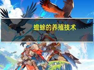 蟾蜍的养殖技术（蟾蜍的养殖）