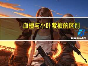 血檀与小叶紫檀的区别
