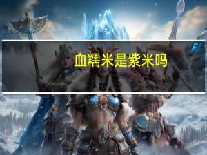 血糯米是紫米吗