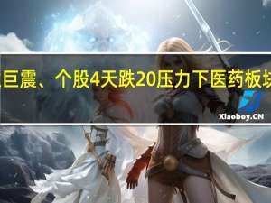行业巨震、个股4天跌20% 压力下医药板块机会何在？