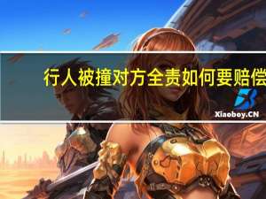 行人被撞对方全责如何要赔偿