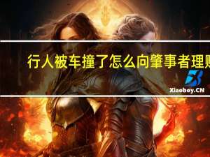 行人被车撞了怎么向肇事者理赔