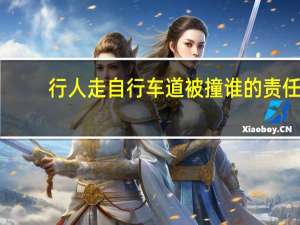 行人走自行车道被撞谁的责任