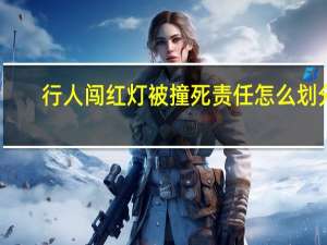 行人闯红灯被撞死责任怎么划分
