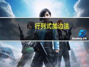 行列式加边法