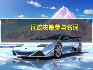 行政决策参与名词（行政决策参与名词解释）