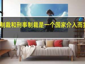 行政制裁和刑事制裁是一个国家介入而实施的制裁