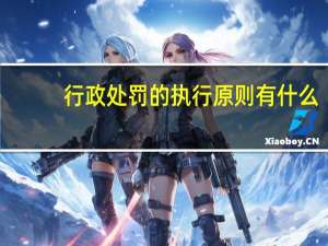 行政处罚的执行原则有什么