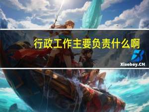 行政工作主要负责什么啊