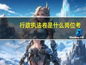 行政执法卷是什么岗位考