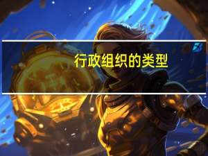行政组织的类型