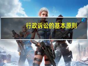 行政诉讼的基本原则