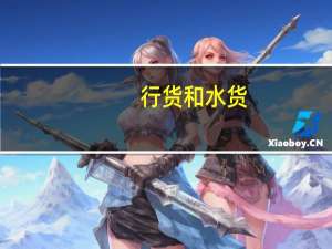 行货和水货（行货）