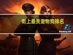 街上最贵宠物狗排名