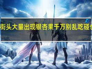 街头大量出现银杏果 千万别乱吃 碰也别碰