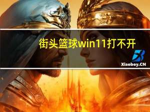 街头篮球win11打不开（街头篮球官方网站打不开）