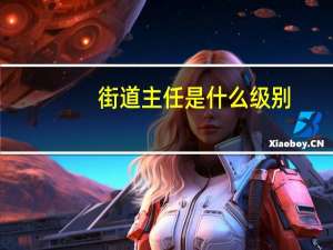 街道主任是什么级别
