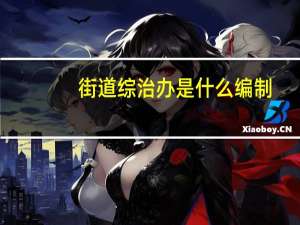 街道综治办是什么编制