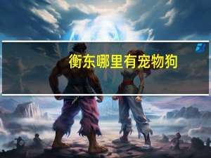 衡东哪里有宠物狗