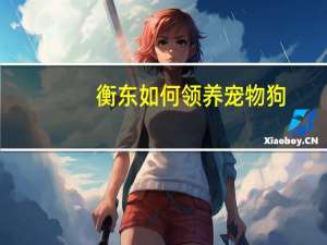 衡东如何领养宠物狗