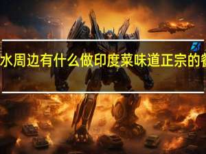 衡水周边有什么做印度菜味道正宗的餐厅推荐