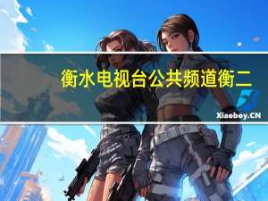 衡水电视台公共频道衡二（衡水电视台公共频道）