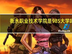 衡水职业技术学院是985大学吗