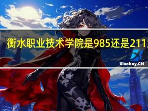 衡水职业技术学院是985还是211大学