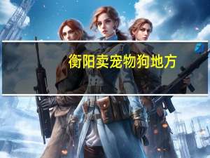 衡阳卖宠物狗地方