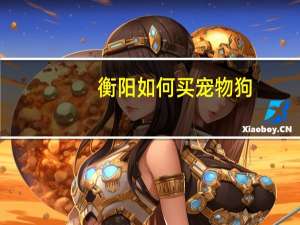 衡阳如何买宠物狗