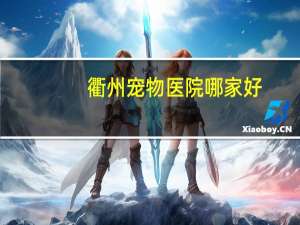 衢州宠物医院哪家好