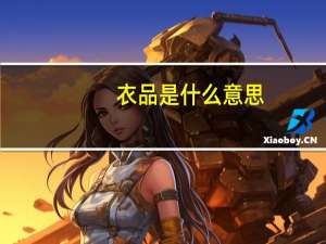 衣品是什么意思