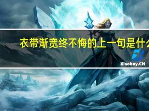 衣带渐宽终不悔的上一句是什么