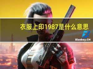 衣服上印1987是什么意思