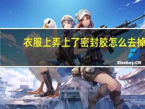 衣服上弄上了密封胶怎么去掉
