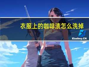 衣服上的咖啡渍怎么洗掉