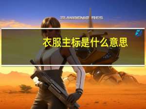 衣服主标是什么意思