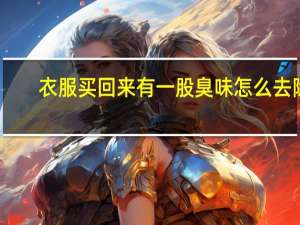 衣服买回来有一股臭味怎么去除